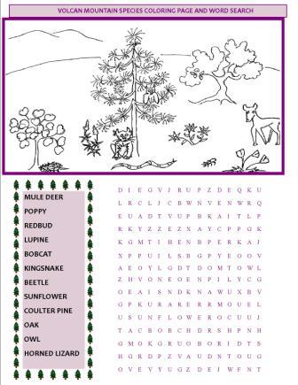 VMF Kids Coloring Page and Word Search