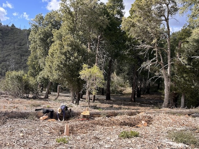hands-on reforestation on Volcan Mountain