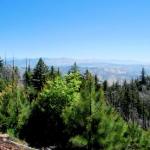 View to the east from the former Geis 50 acre parcel